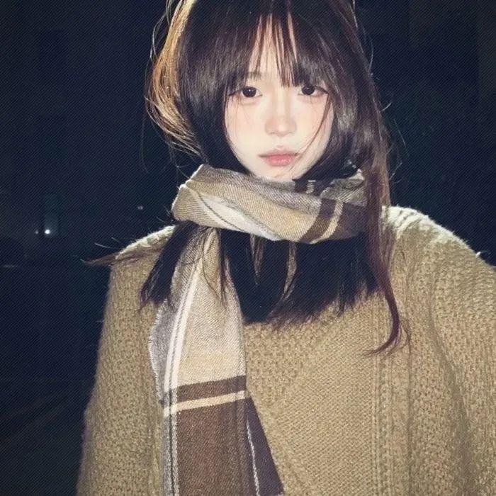 汽车女窃贼