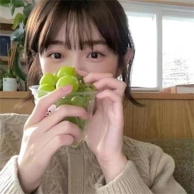 橄榄树之恋